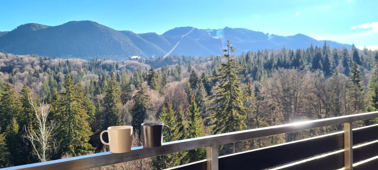 Silver Mountain Panoramic View C48 Poiana Brasov Exterior foto